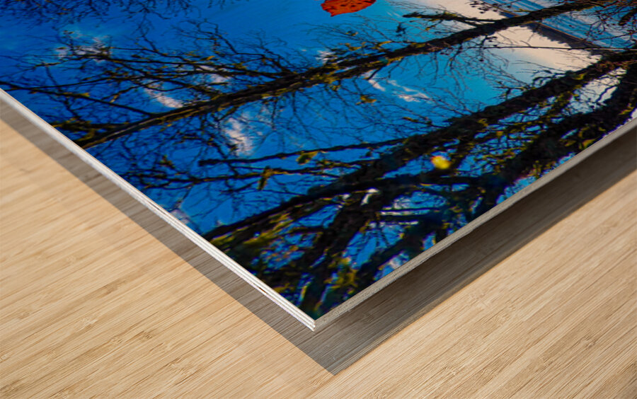 Oregon Coast 3 Wood print