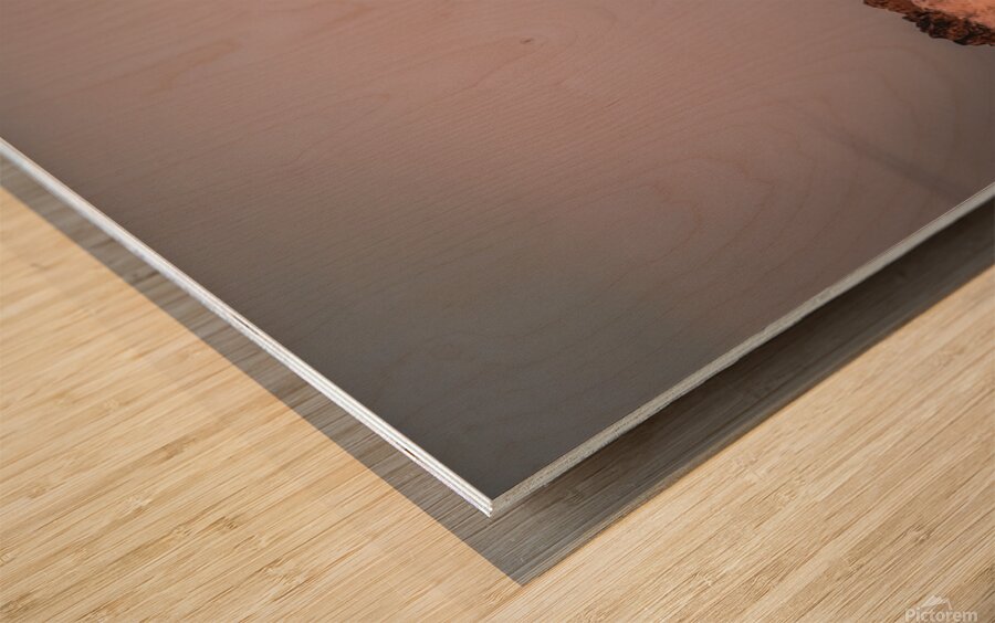 Oregon Coast 3 Wood print