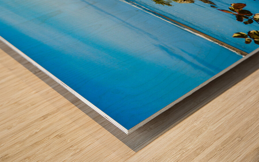 Oregon Coast 2 Wood print