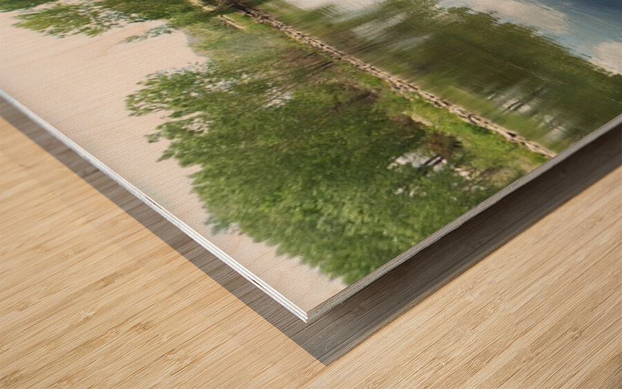 Nevada Landscape 7 Wood print