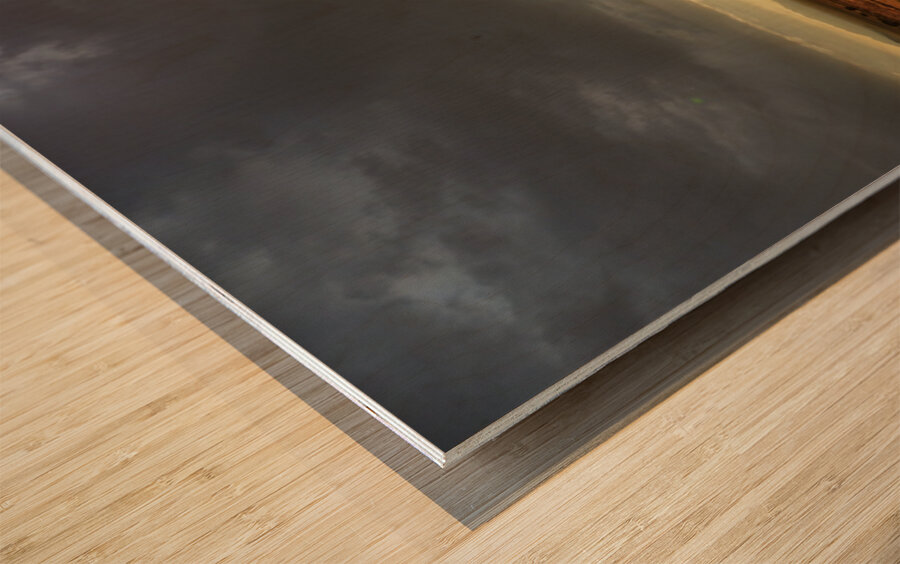 Nevada Landscape 3 Wood print