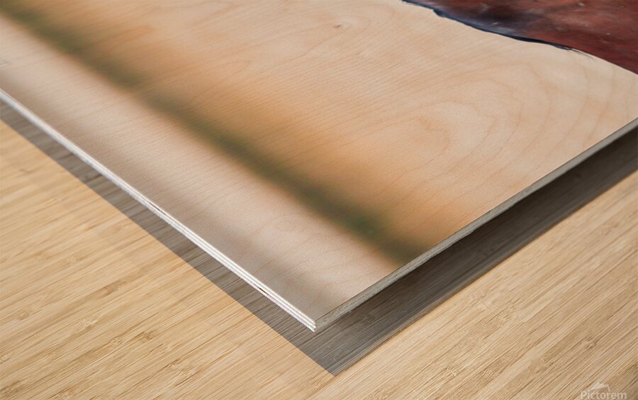 Wild Horse Series Nevada 14 Wood print