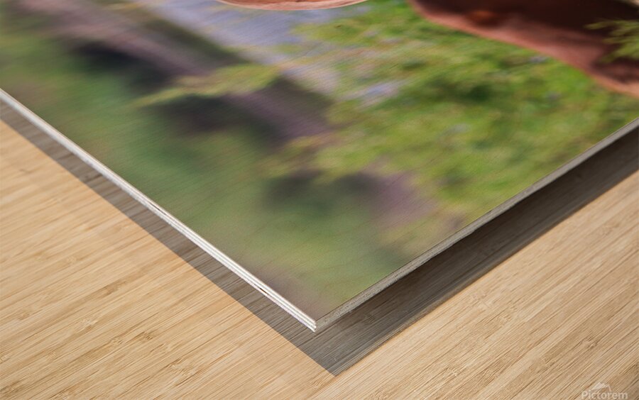 Nevada Virginia Range Series Wood print