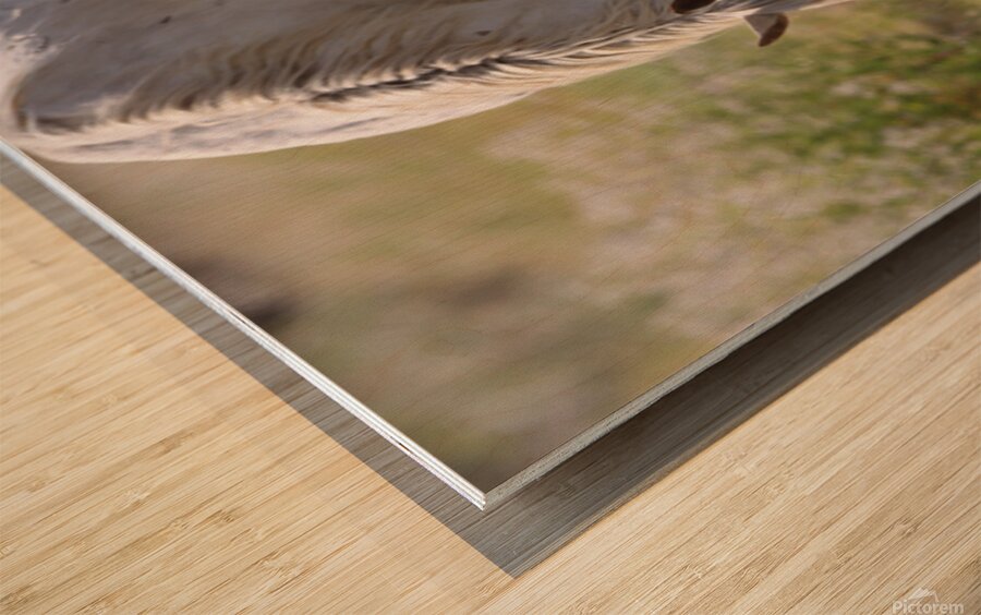 Nevada Virginia Range Series 2 Wood print