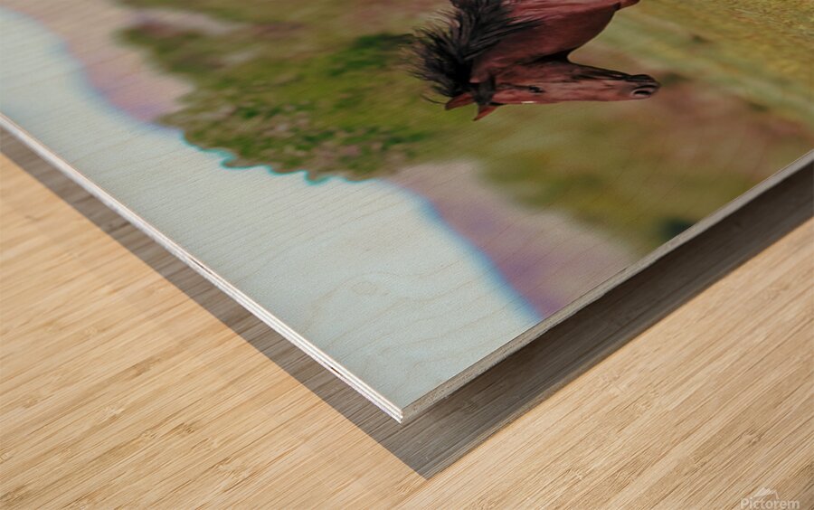 Nevada Virginia Range Series 3 Wood print