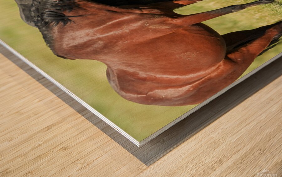 Nevada Virginia Range Series 5 Wood print