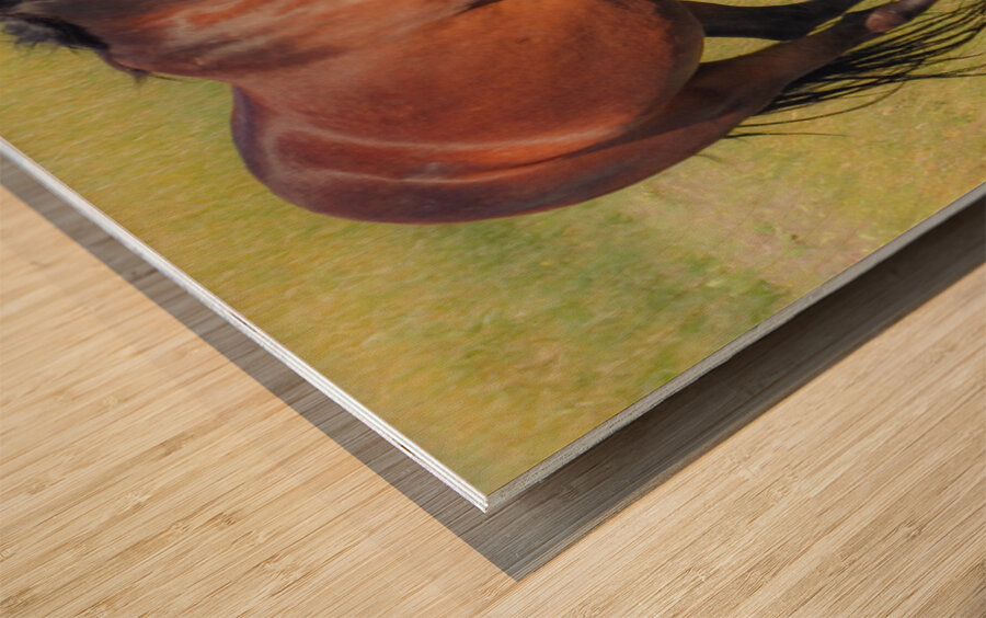 Nevada Virginia Range Series 6 Wood print