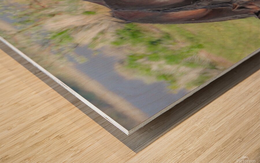 Nevada Virginia Range Series 7 Wood print