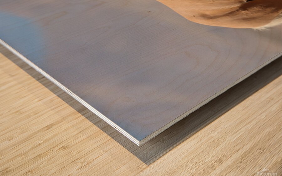 Nevada Virginia Range Series 9 Wood print