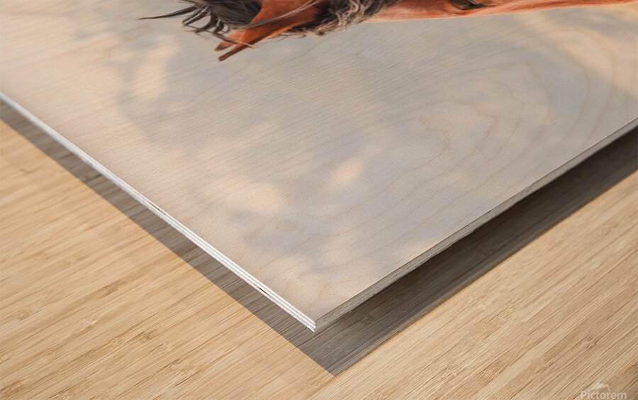 Nevada Virginia Range Series 10 Wood print