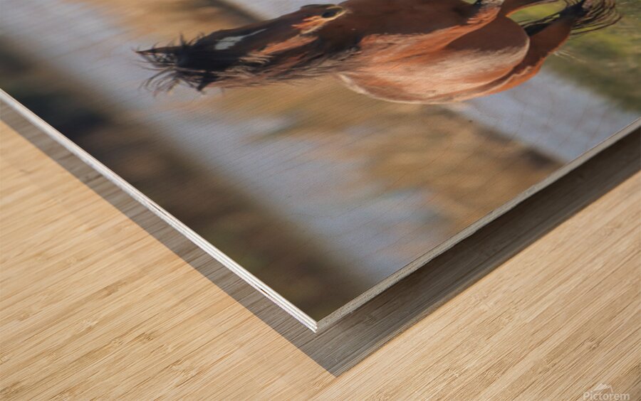 Nevada Virginia Range Series 14 Wood print