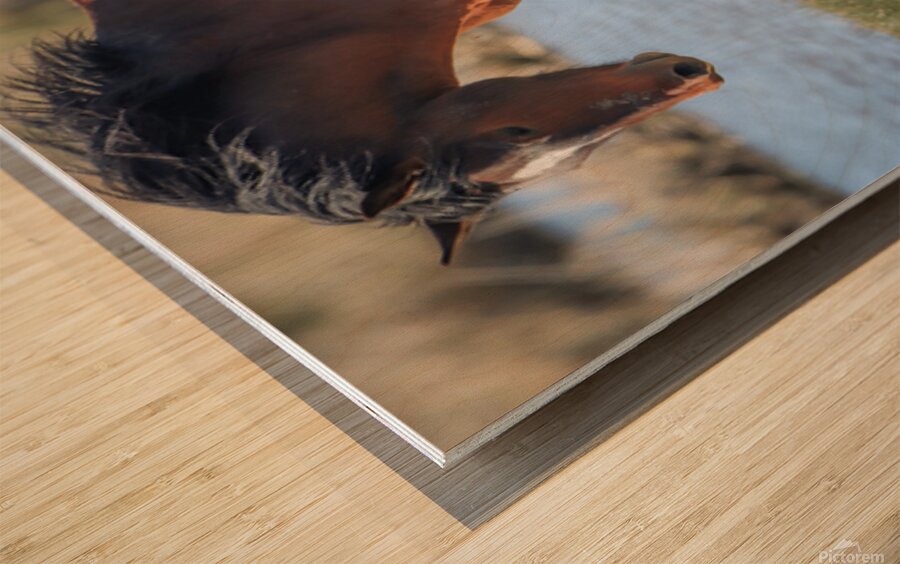 Nevada Virginia Range Series 15 Wood print