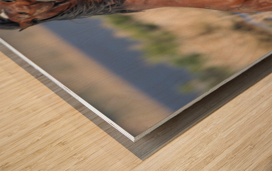 Nevada Virginia Range Series 16 Wood print