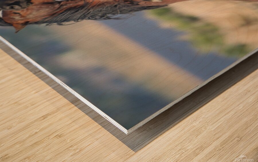 Nevada Virginia Range Series 17 Wood print