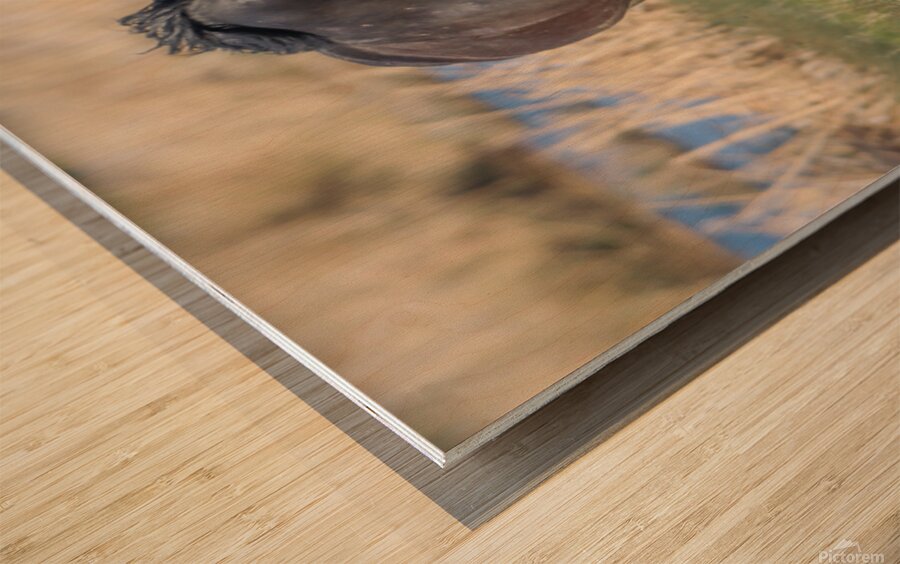 Nevada Virginia Range Series 19 Wood print