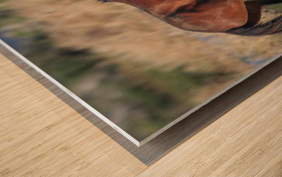 Nevada Virginia Range Series 20 Wood print