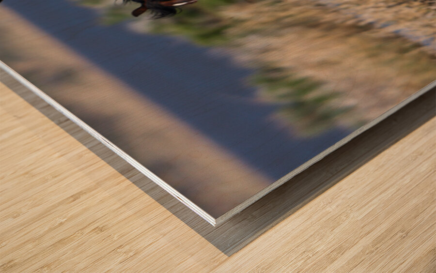 Nevada Virginia Range Series 21 Wood print