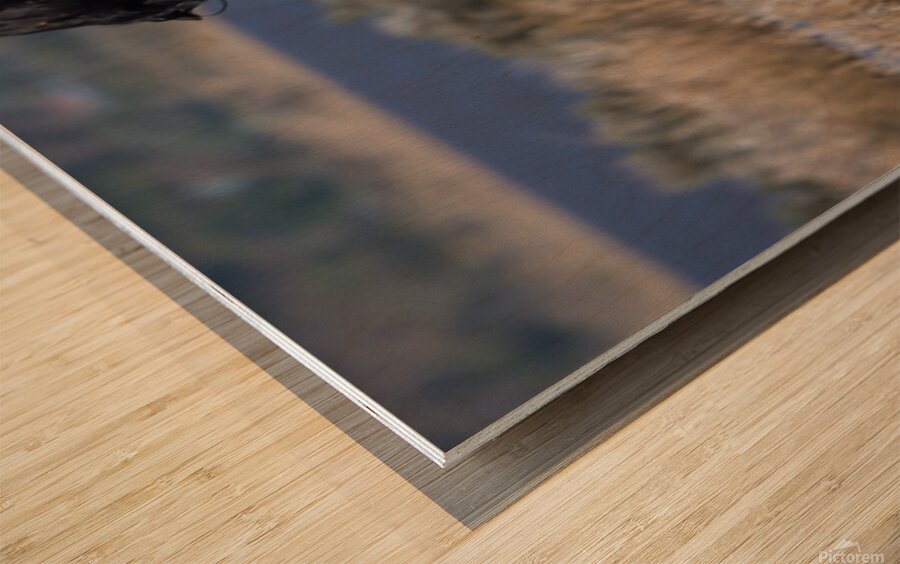 Nevada Virginia Range Series 22 Wood print