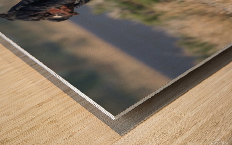 Nevada Virginia Range Series 23 Wood print