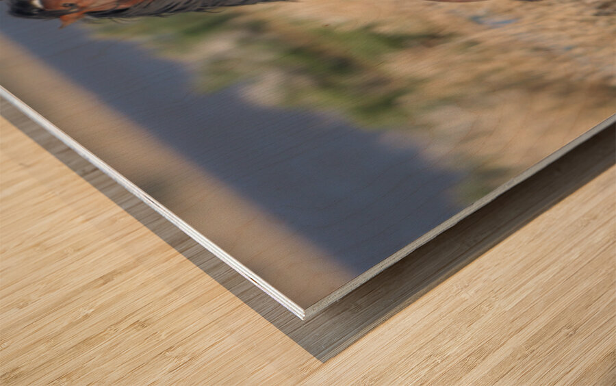 Nevada Virginia Range Series 24 Wood print