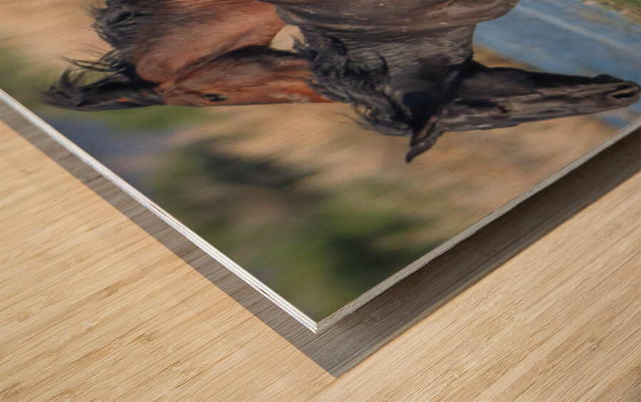 Nevada Virginia Range Series 25 Wood print