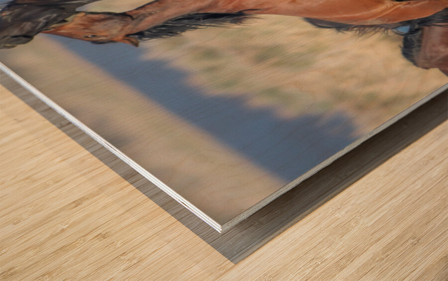 Nevada Virginia Range Series 27 Wood print