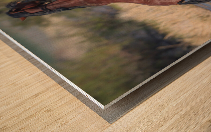 Nevada Virginia Range Series 28 Wood print