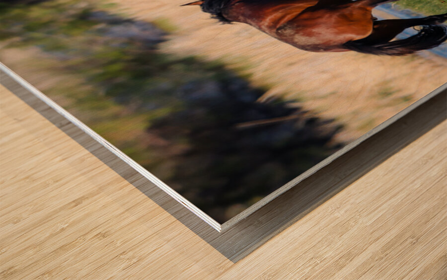 Nevada Virginia Range Series 29 Wood print