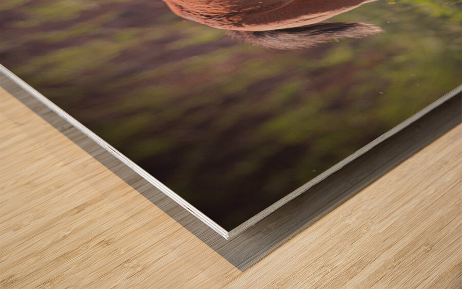 Nevada Virginia Range Series 31 Wood print