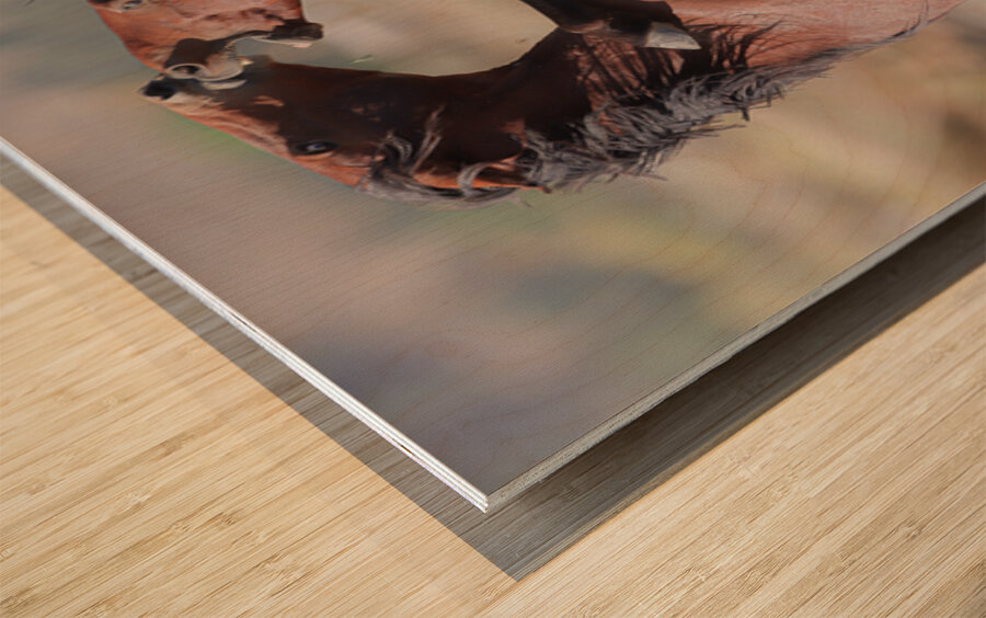 Nevada Virginia Range Series 32 Wood print