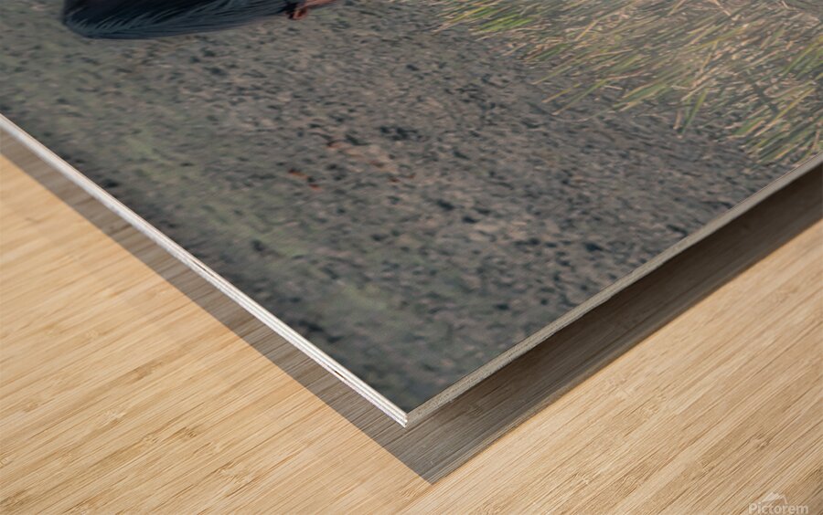 Nevada Virginia Range Series 33 Wood print