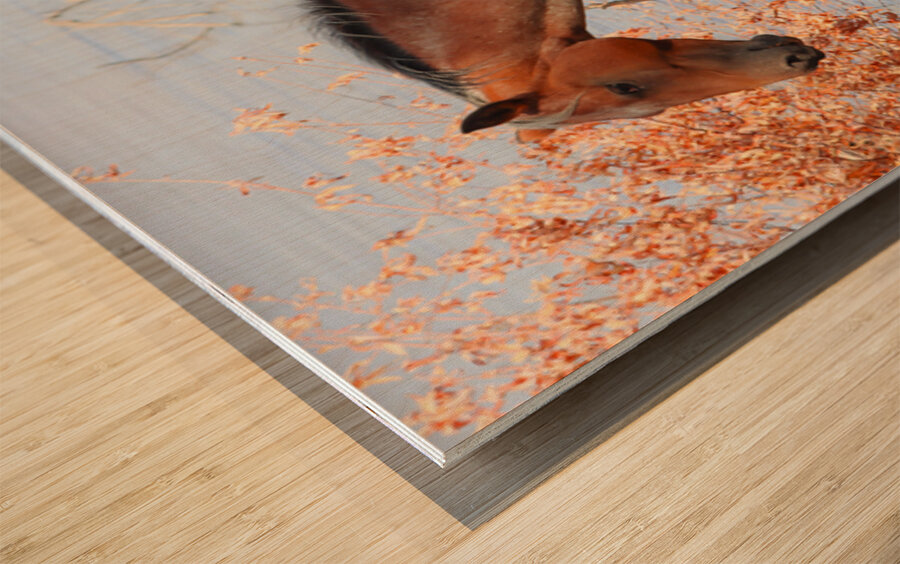 Nevada Virginia Range Series 35 Wood print