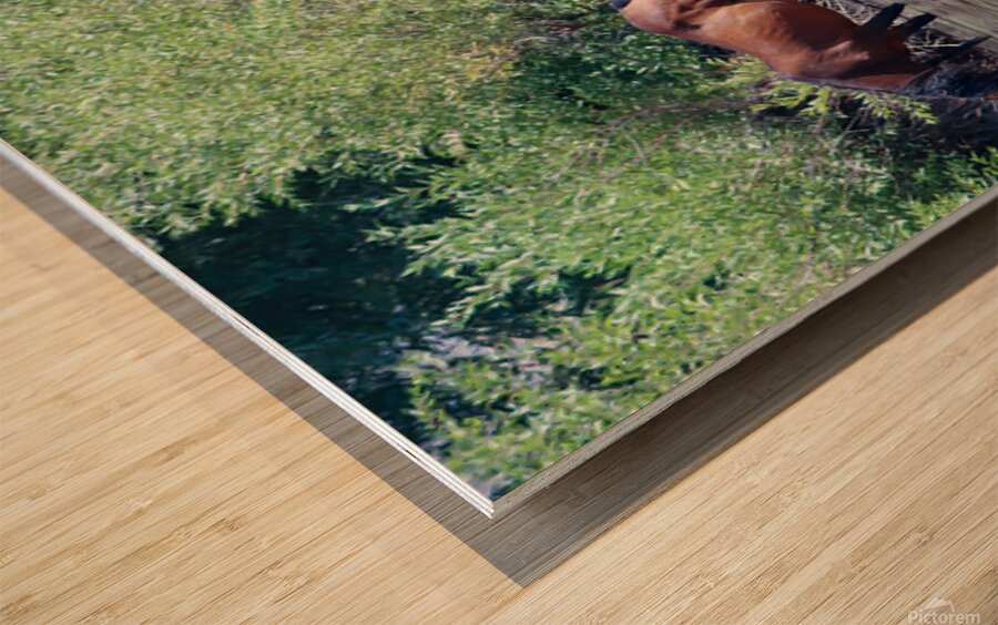 Nevada Virginia Range Series 37 Wood print