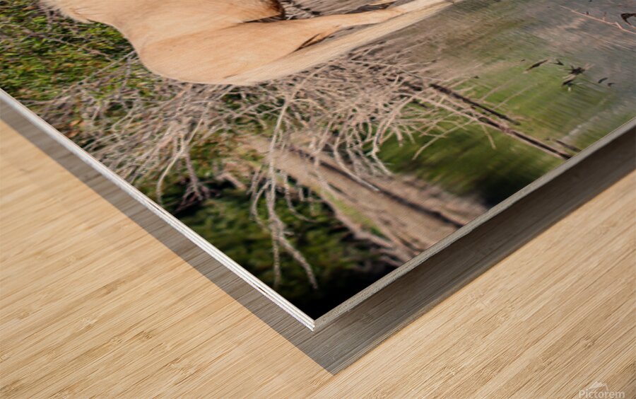 Nevada Virginia Range Series 38 Wood print