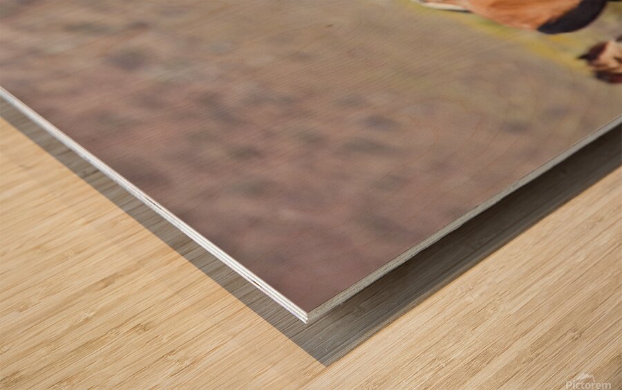 Mono Lake Wild Horse Series 1 Wood print