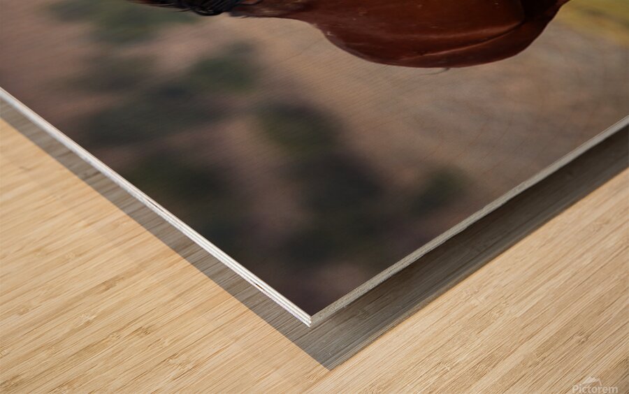 Mono Lake Wild Horse Series 1 Wood print