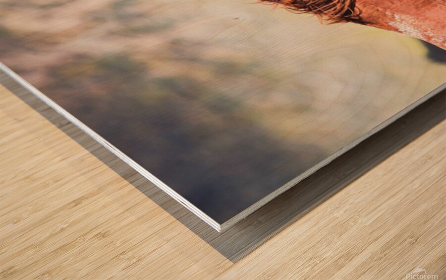 Mono Lake Wild Horse Series 1 Wood print