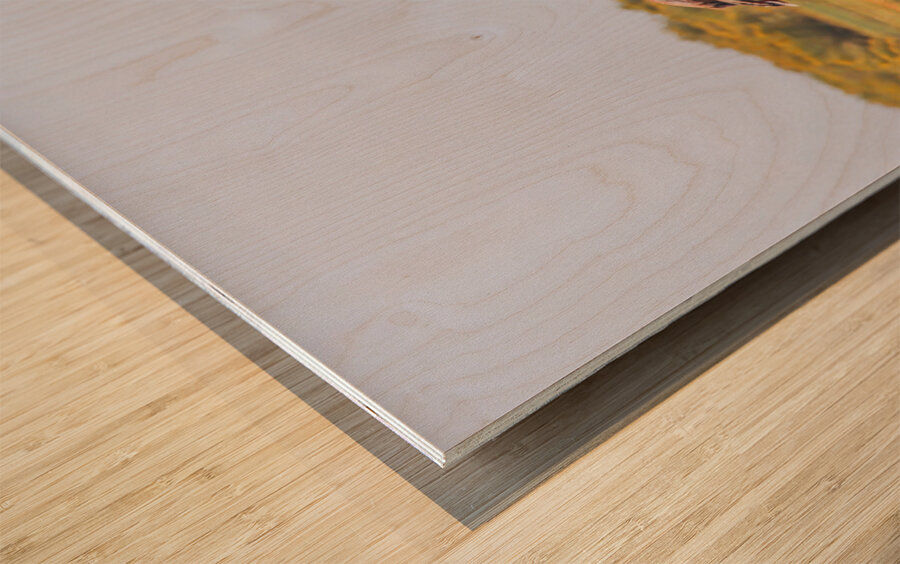 Mono Lake Wild Horse Series 1 Wood print