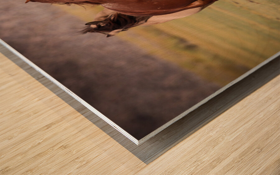 Mono Lake Wild Horse Series 1 Wood print