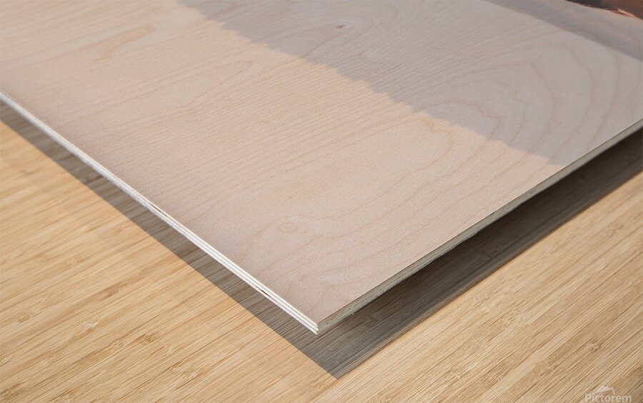 Mono Lake Wild Horse Series 1 Wood print