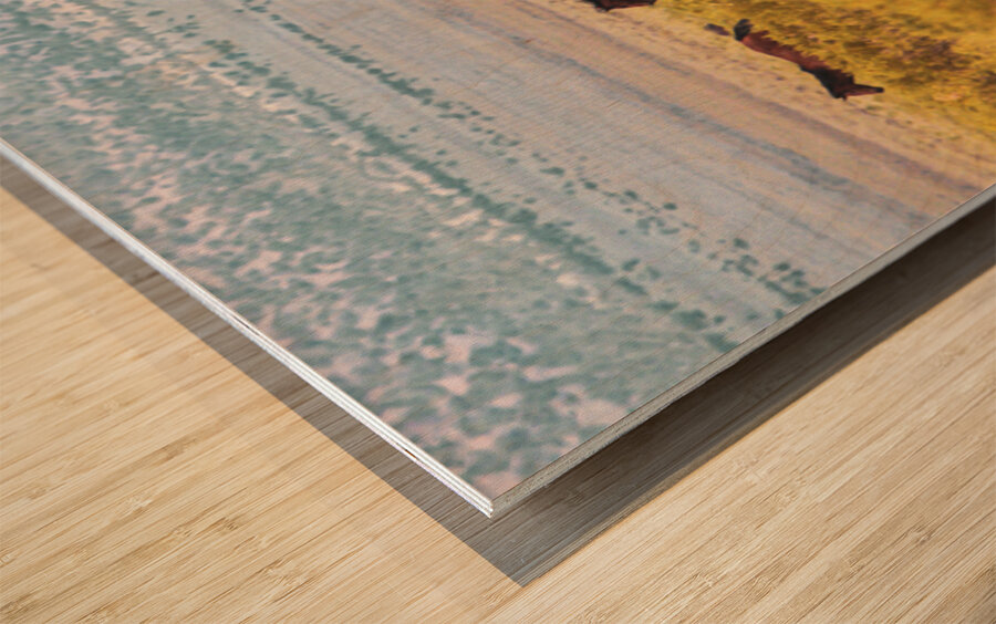 Nevada Mustang series 6 1 Wood print