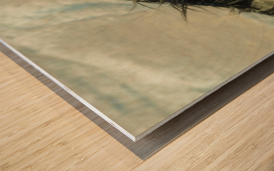 Nevada Mustang series 8  1 Wood print