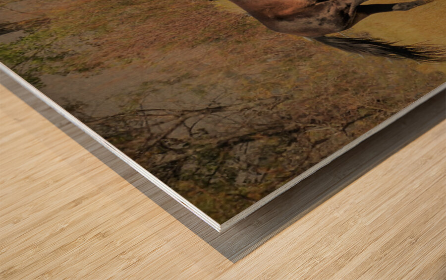 Nevada Mustang series 9 1 Wood print