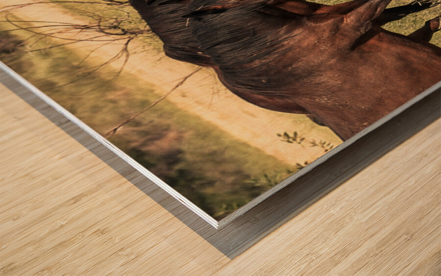 Nevada Mustang series 10 1 Wood print