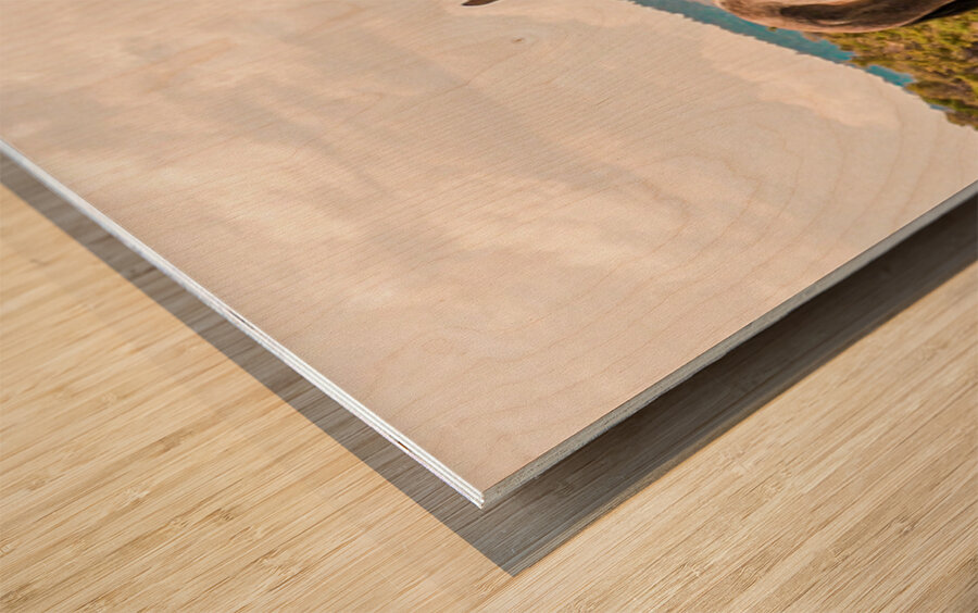 Nevada Mustang series 12 1 Wood print