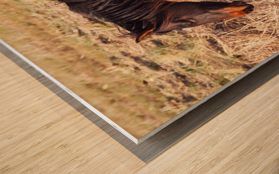 Nevada wild 5 Wood print