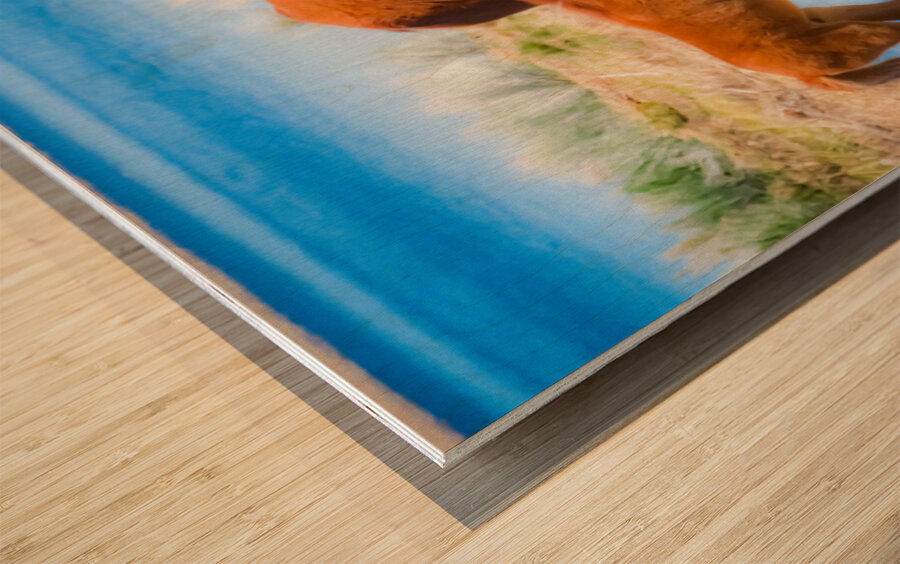 Nevada wild 6 Wood print