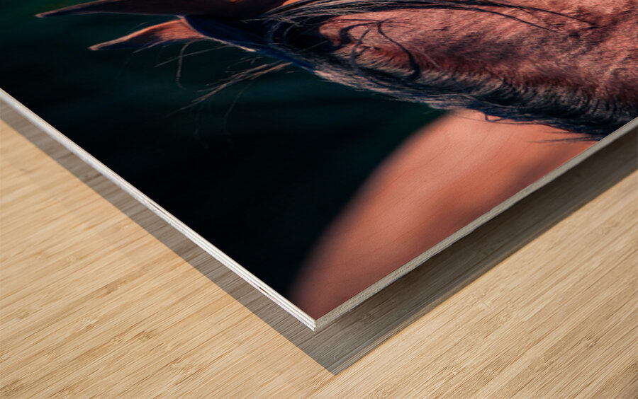 Nevada wild 2 Wood print