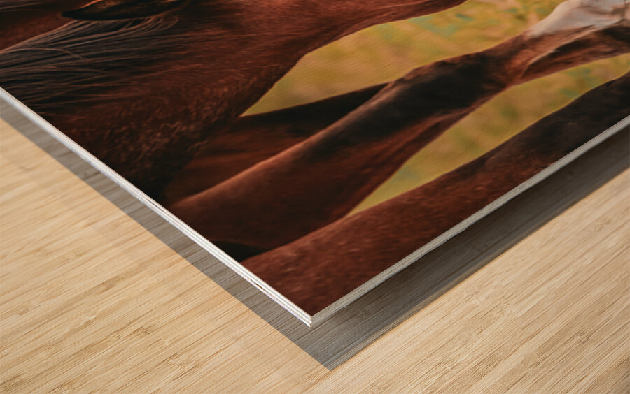 Nevada wild 1 1 Wood print