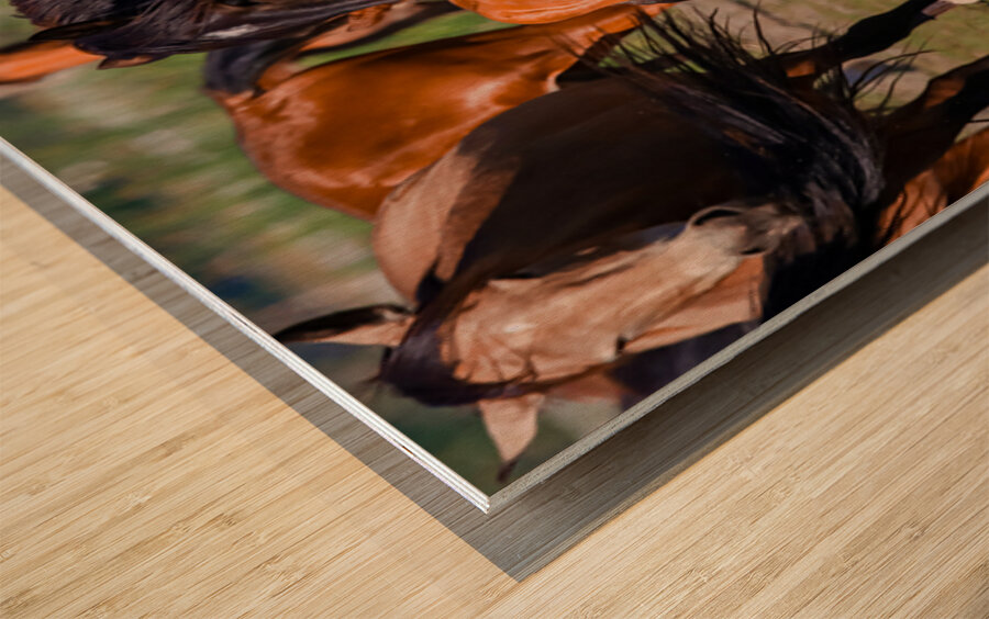 Nevada wild  Series VR1 1 Wood print